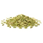 Fenouil entier 100g 20P