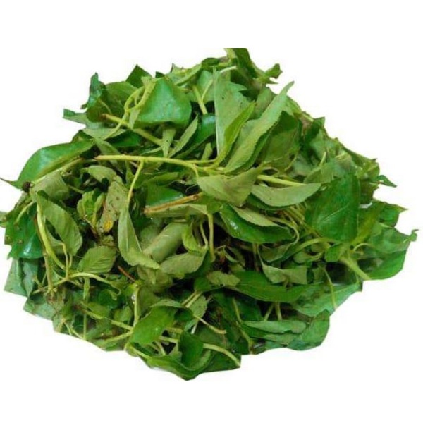 ART1101 MOLOKHYA FEUILLES HACHES 100g 15P – Image 1